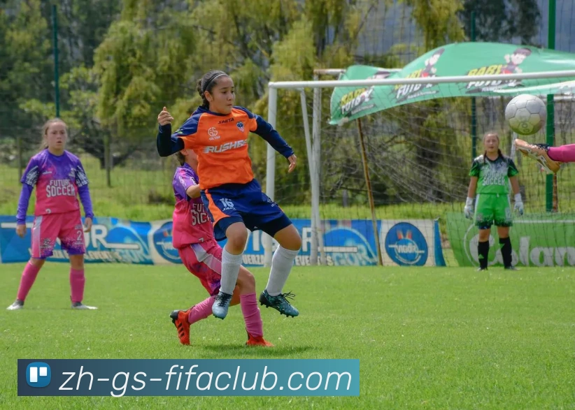 App Interface Preview